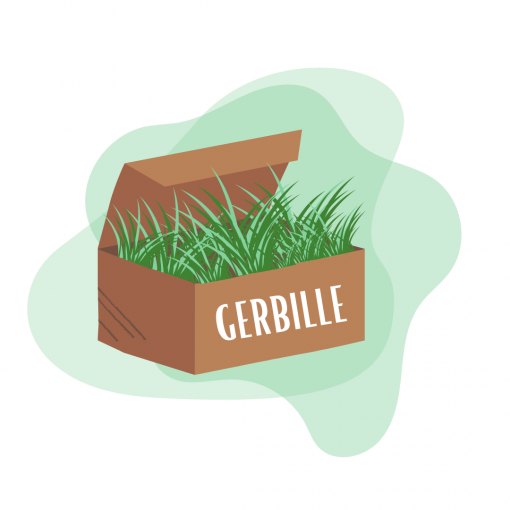 Box pour gerbille