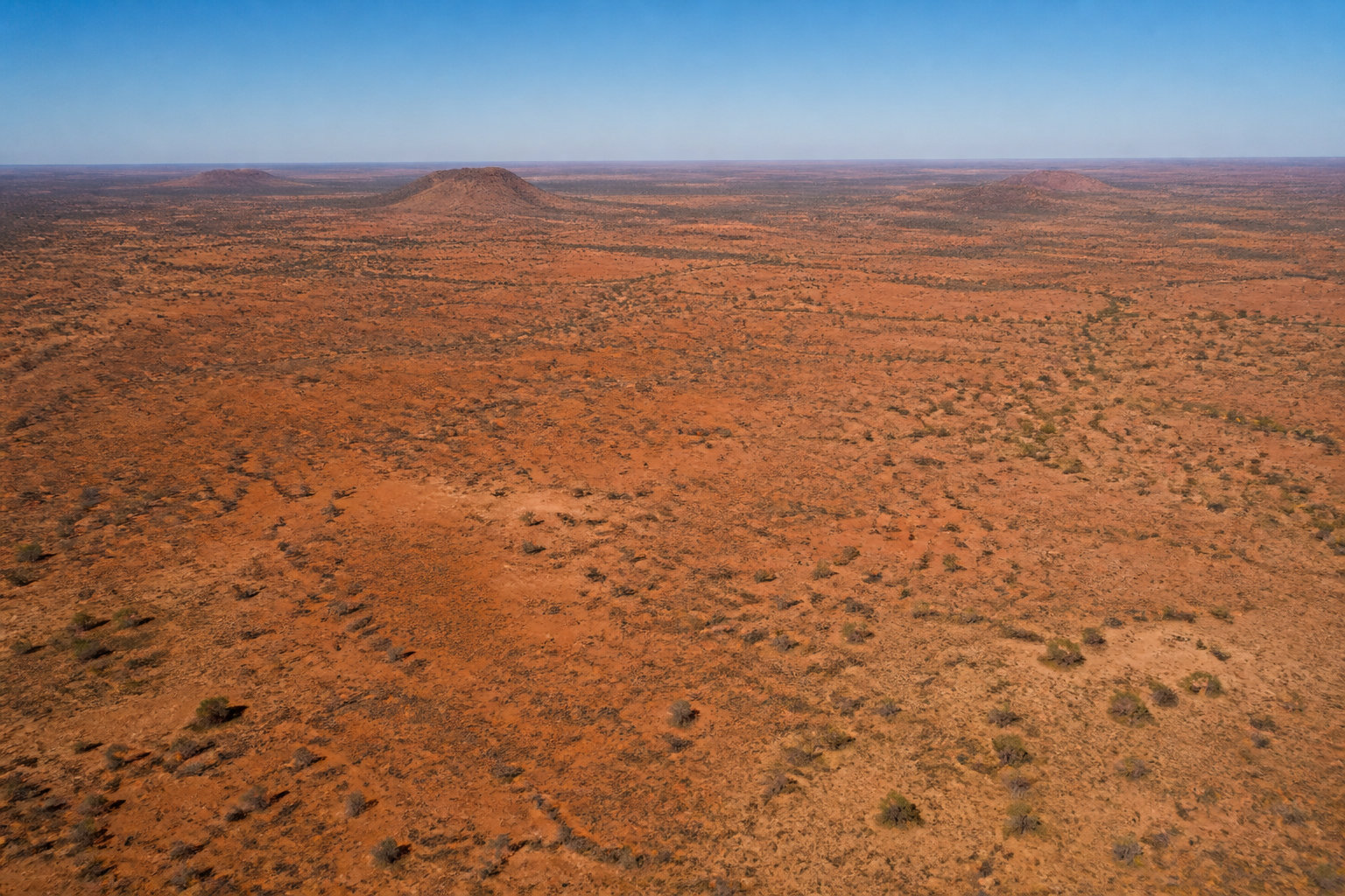 Origine de l'endémisme et particularités de la faune australienne