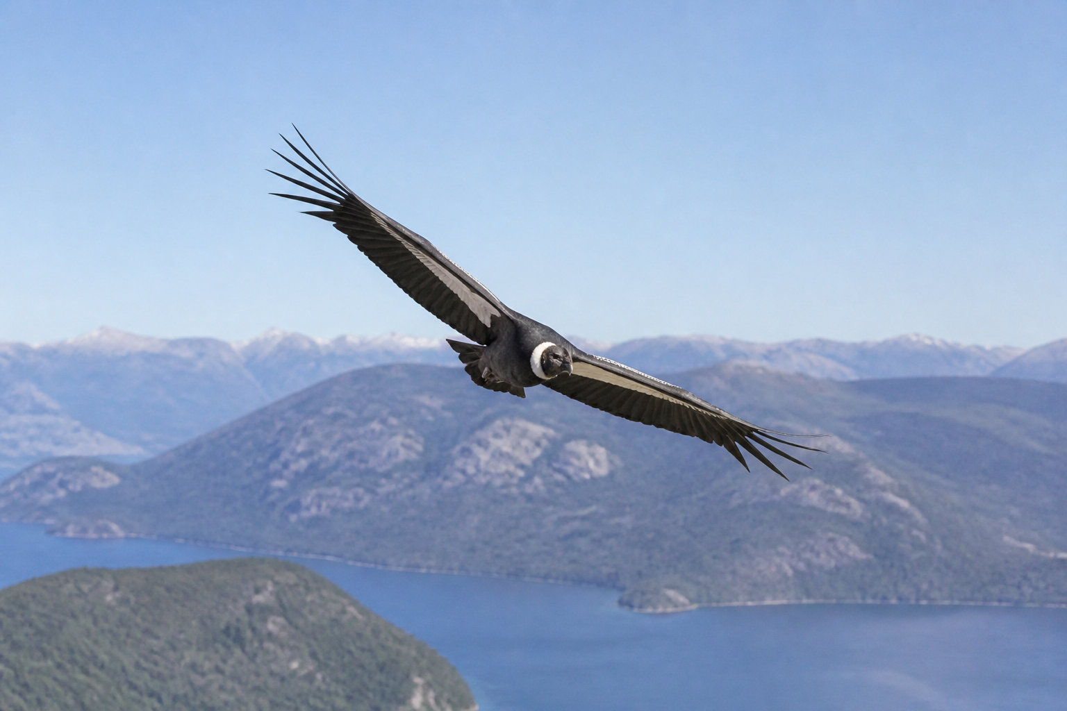 Meilleurs spots d'observation en Patagonie et dans le Nord argentin