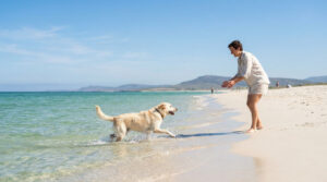 Une femme joue avec son chien de type labrador dans l'eau cristalline d'une plage ensoleillée.
