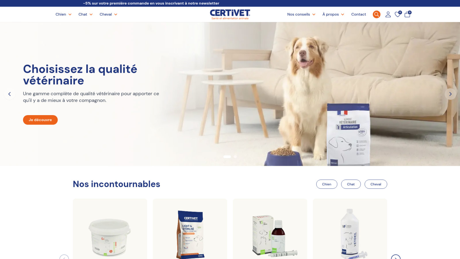 Arbitrer entre croquettes et pâtées pour une vitalité durable