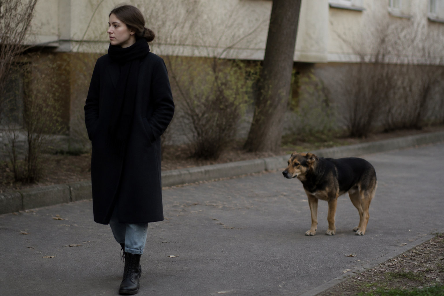 Les réflexes de sécurité immédiats face à un chien errant