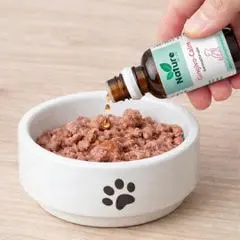 Solution naturelle Calicivirus mis dans une gamelle de chat.