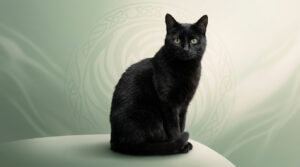 Un chat noir élégant assis sur une surface claire devant un fond vert doux orné d'un motif celtique subtil.