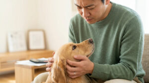 Un homme vêtu d'un pull vert caresse la tête de son golden retriever avec un air préoccupé.
