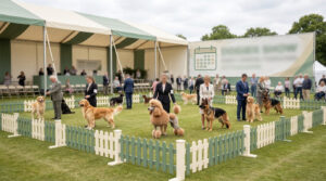 Exposition canine en extérieur avec des chiens de race et leurs présentateurs dans un enclos sur herbe.