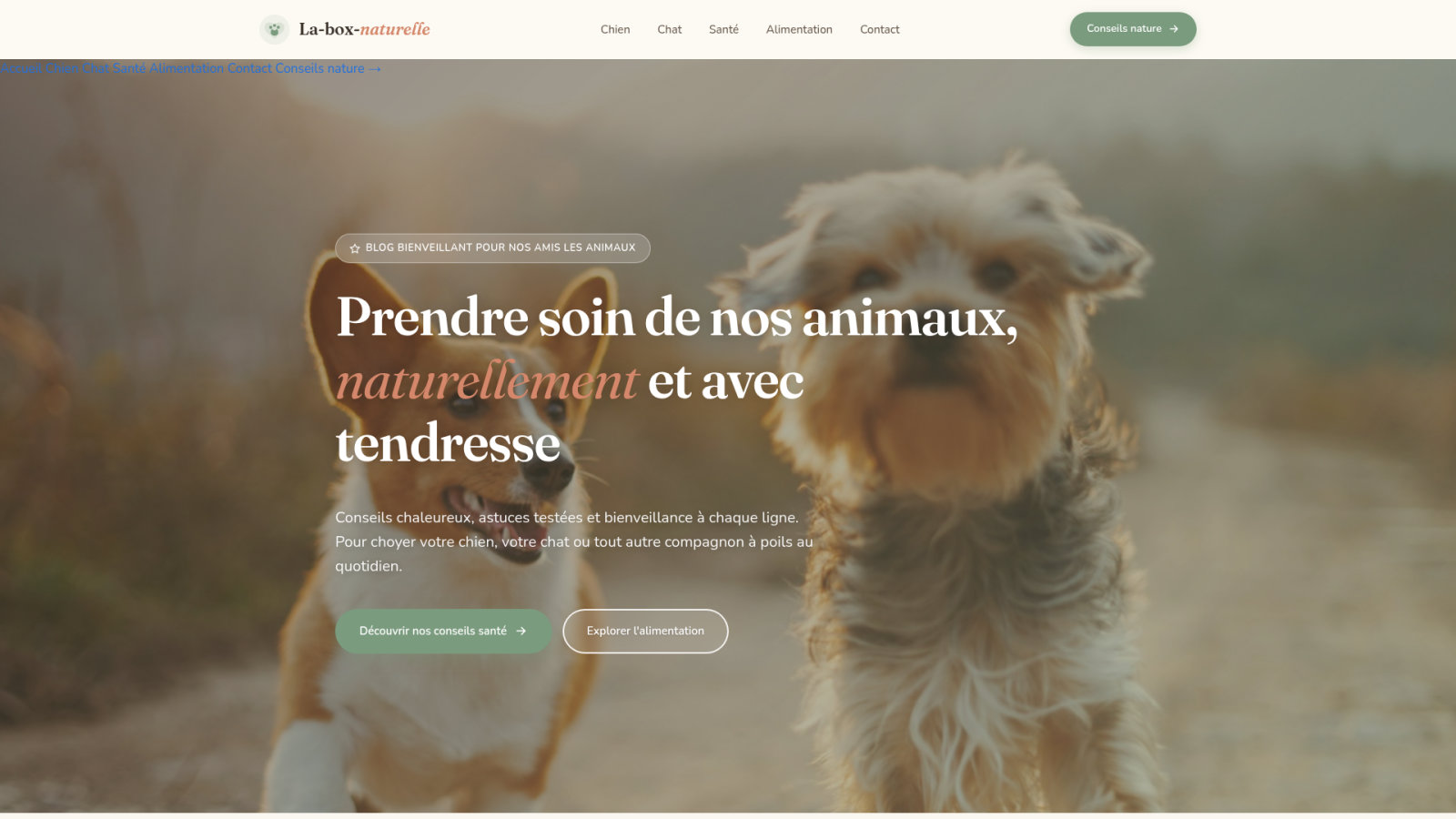 Les prix annoncés ne garantissent pas une adoption légale en France